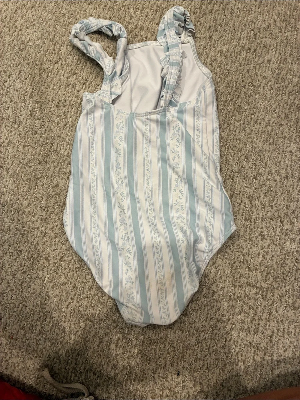 Minnow swim